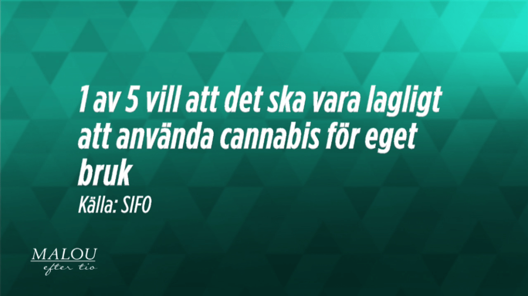 1 av 5 vill att det ska vara lagligt att använda cannabis för eget bruk. Källa: Sifo, Malou efter tio