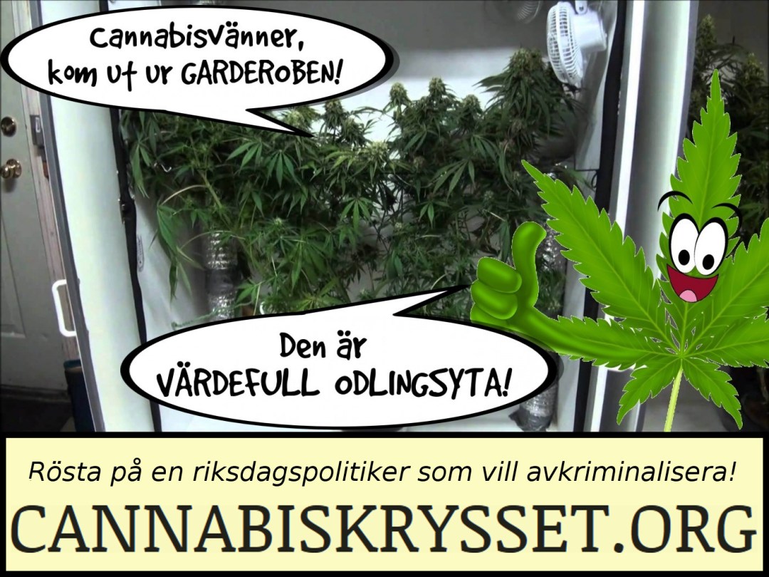 Cannabisvänner, kom ut ur garderoben! Den är värdefull odlingsyta. Rösta på en politiker som vill avkriminalisera!