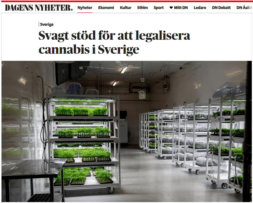 DN-artikel: Svagt stöd för att legalisera cannabis i Sverige